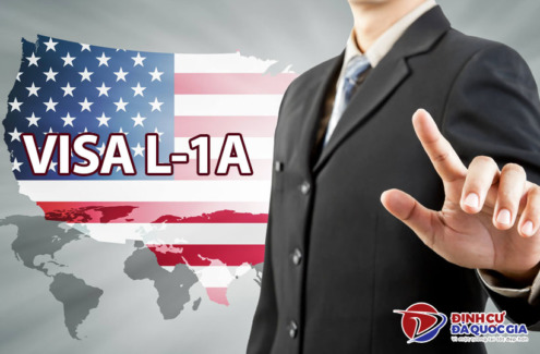 Thông tin về thị thực L-1A – Lộ trình chuyển tiếp sang PR Mỹ