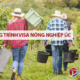 Chương trình lao động nông nghiệp Australia – Visa nông nghiệp Úc