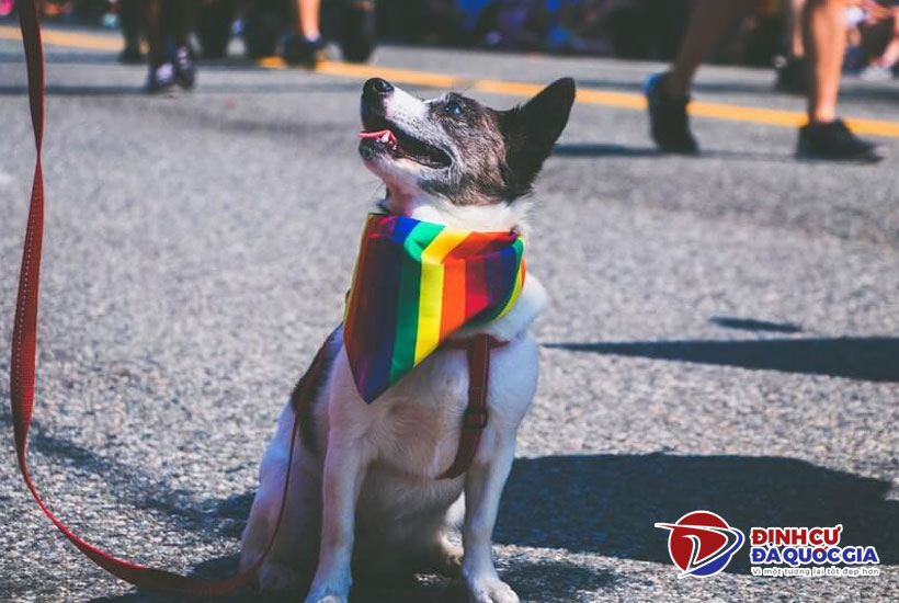 Lễ diễu hành tự hào đồng tính ở Toronto (Pride Toronto)